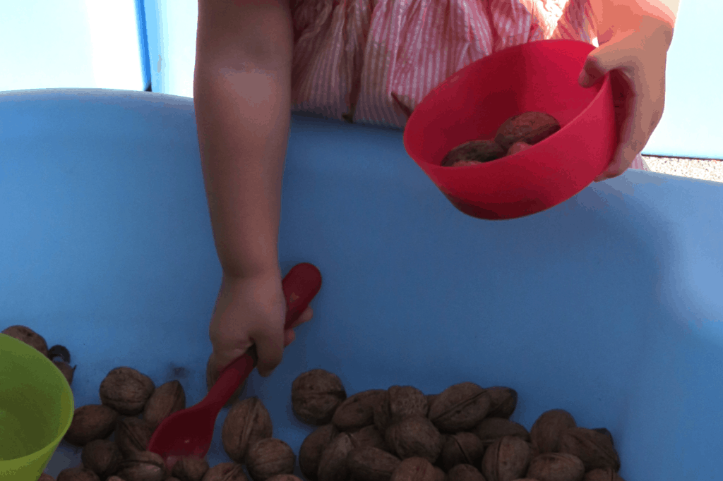 2025 09 - Album photos