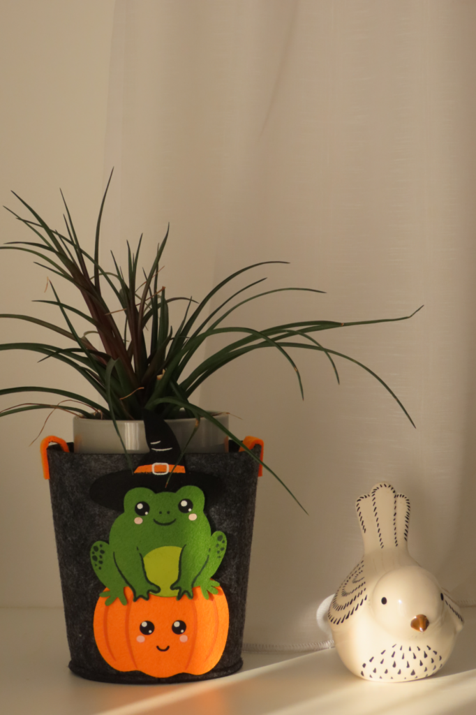 Mémoires du temps qui passe - Octobre 2025 