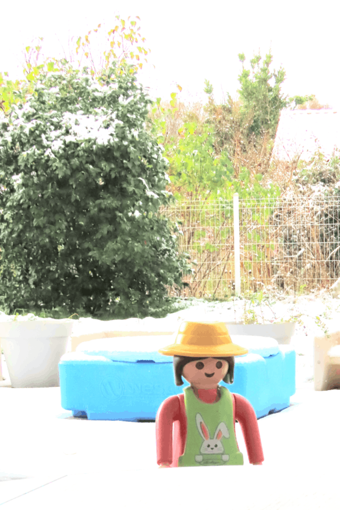 Mémoires du temps qui passe - Novembre 2025 - Chez MaM