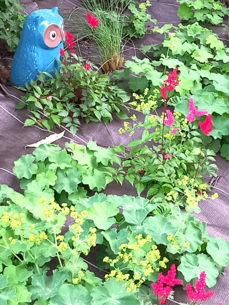 MaM - Assistantes maternelles - Lieu d'accueil