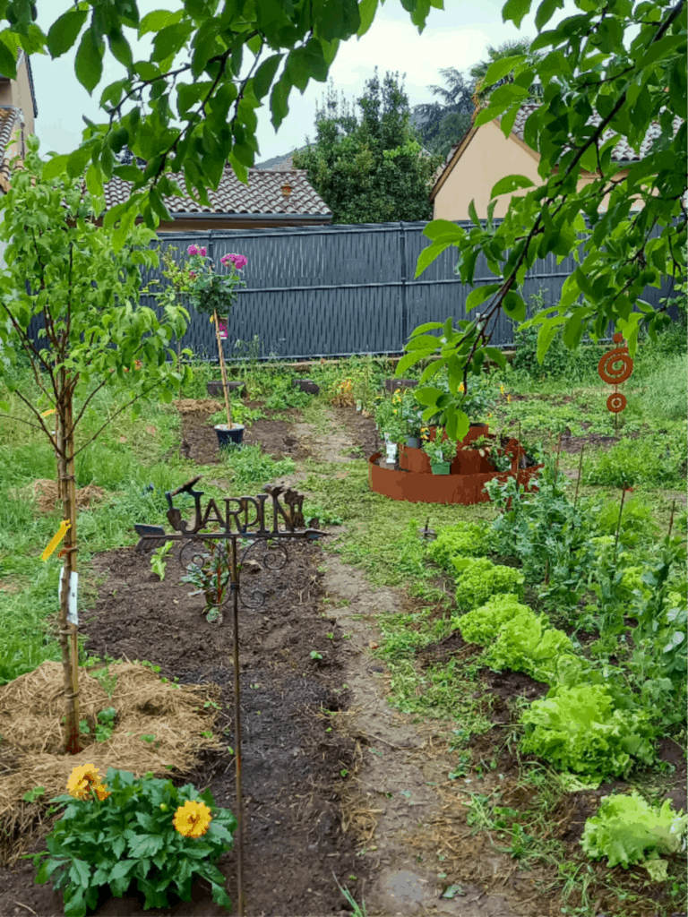 MaM - Assistantes maternelles - Lieu d'accueil