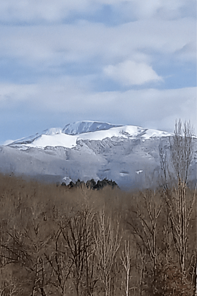 MaM - Assistantes maternelles - Lieu d'accueil
