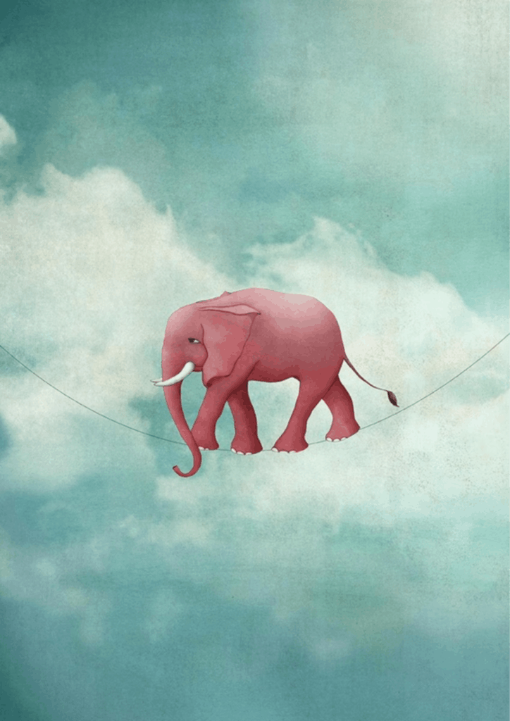 Illustration jeunesse - Tiz'amie