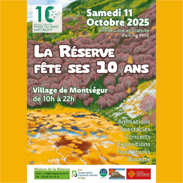 Les 10 ans de la réserve Ti'zOursons de l'Ariège - Le portail des enfants et des familles en Ariège
