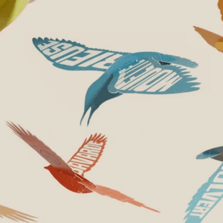 " Plumes et Cie " Ti'zOursons de l'Ariège - Le portail des enfants et des familles en Ariège