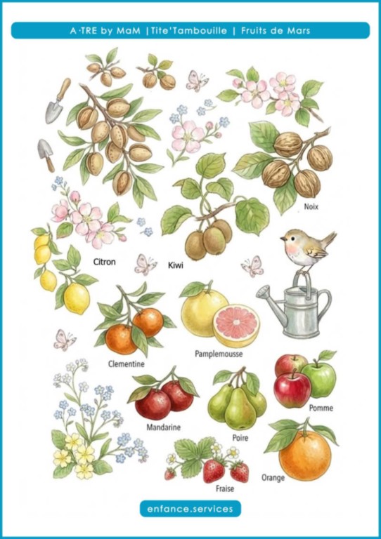 Le panier du marché de Dame Rissole, les fruits de mars | Tite'Tambouille | A·TRE by MaM Les fruits de saisons Mars | Tite'Tambouille | A·TRE by MaM