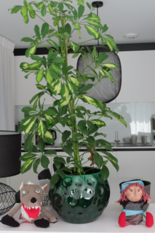 Mémoires du temps qui passe - Octobre 2025 