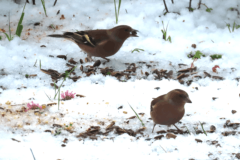 Mémoires du temps qui passe - Novembre 2025 - Chez MaM