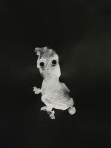 Mémoires du temps qui passe - Ti'chefs d'œuvre d'automne