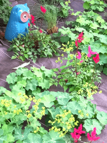 MaM - Assistantes maternelles - Lieu d'accueil