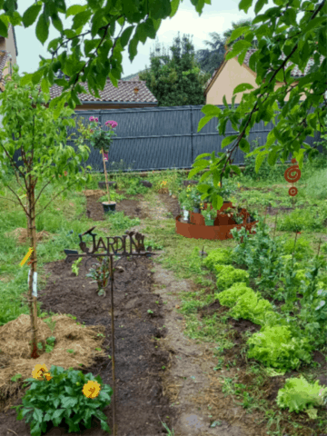 MaM - Assistantes maternelles - Lieu d'accueil