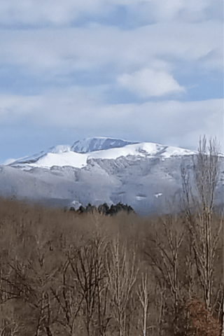 MaM - Assistantes maternelles - Lieu d'accueil