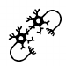 Neurones miroirs